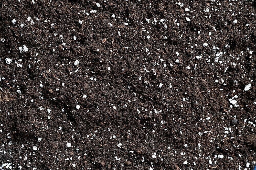 soil with perlite in it